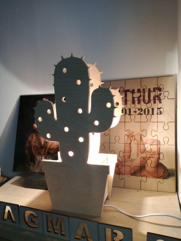 Nachtlampje cactus